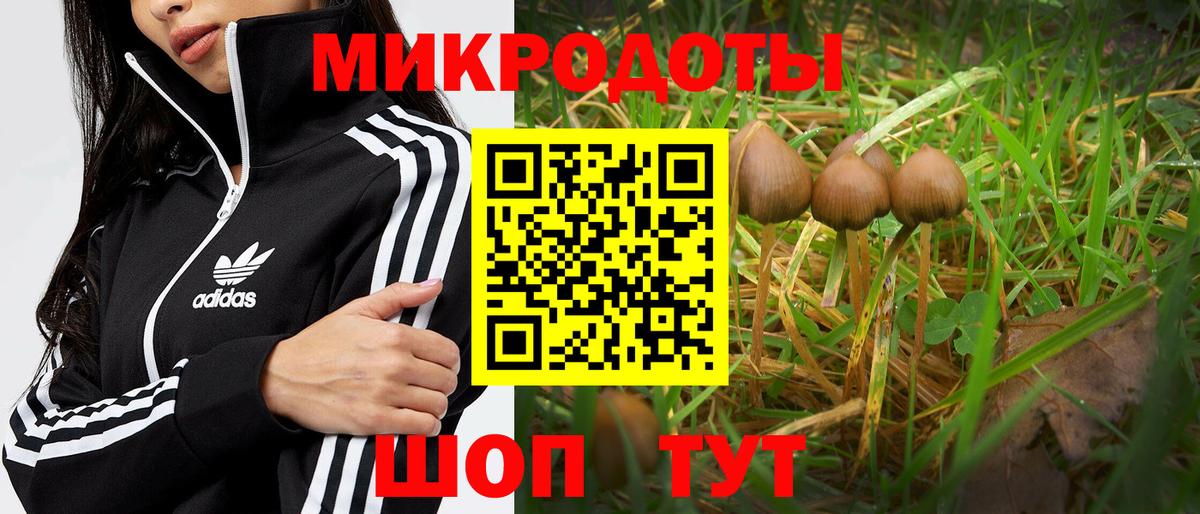 Орехово-Зуево  Галлюциногенные грибы мицелий  Вход с VPN 